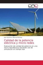 Calidad de la potencia electrica y micro redes