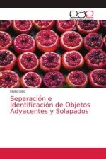 Separacion e Identificacion de Objetos Adyacentes y Solapados