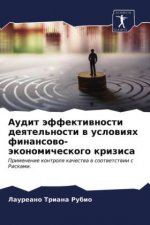 Аудит эффективности дея&