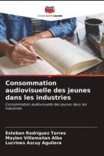 Consommation audiovisuelle des jeunes dans les industries
