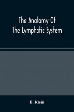 Anatomy Of The Lymphatic System