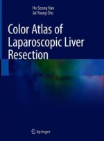 Color Atlas of Laparoscopic Liver Resection