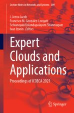 Expert Clouds and Applications