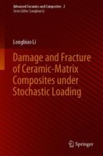 Damage and Fracture of Ceramic-Matrix Composites Under Stochastic Loading