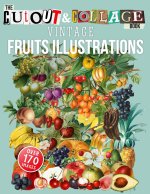 Cut Out And Collage Book Vintage Fruits Illustrations