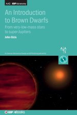 Introduction to Brown Dwarfs