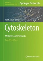 Cytoskeleton