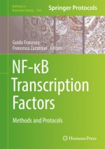 NF-?B Transcription Factors