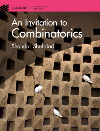 Invitation to Combinatorics