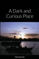 Dark and Curious Place