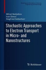 Stochastic Approaches to Electron Transport in Micro- and Nanostructures