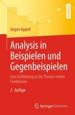 Analysis in Beispielen Und Gegenbeispielen