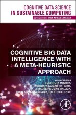 Cognitive Big Data Intelligence with a Metaheuristic Approach