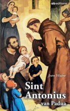 Sint Antonius van Padua: Kerkleraar