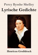 Lyrische Gedichte (Grossdruck)