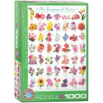Puzzle 1000 The Language of Flowers 6000-0579