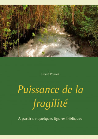 Puissance de la fragilite