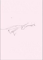 Evelyn Taocheng Wang Unintended Experience (A Job in Amsterdam) /anglais