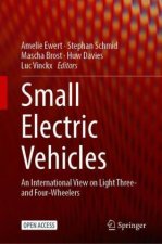 Small Electric Vehicles
