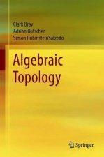 Algebraic Topology