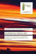 Elegies Du Vieux Lion