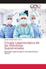 Cirugia Laparoscopica de las Glandulas Suprarrenales