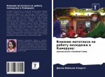 Влияние мототакси на раб