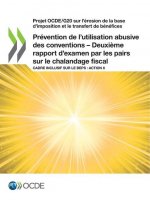 Projet Ocde/G20 Sur l'Erosion de la Base d'Imposition Et Le Transfert de Benefices Prevention de l'Utilisation Abusive Des Conventions - Deuxieme Rapp