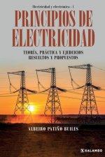 Principios de electricidad: Teoría, práctica y ejercicios resueltos y propuestos