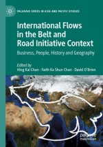 International Flows in the Belt and Road Initiative Context