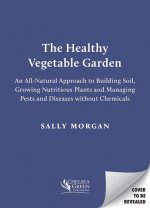Healthy Vegetable Garden