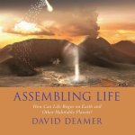 Assembling Life: How Can Life Begin on Earth and Other Habitable Planets?