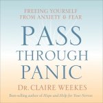 Pass Through Panic: Freeing Yourself from Anxiety and Fear