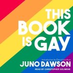This Book Is Gay Lib/E