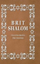 Brit Shalom, Patto di pace