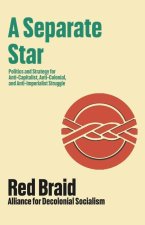 A Separate Star: Our Politics and Strategy for Anti-Imperialist, Anti-Colonial, and Anti-Capitalist Struggle