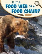 Is It a Food Web or a Food Chain?