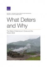 What Deters and Why
