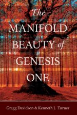 Manifold Beauty of Genesis One