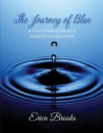Journey of Blue
