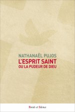 L'Esprit Saint, ou la Pudeur de Dieu