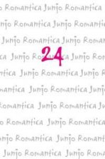 Junjo Romantica 24