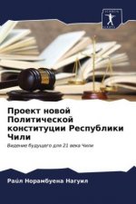 Проект новой Политическ&