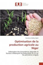 Optimisation de la production agricole au Niger
