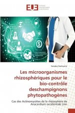 Les microorganismes rhizospheriques pour le bio-controle deschampignons phytopathogenes