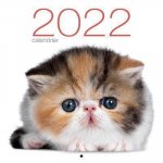 Calendrier mural 2022 - Chats