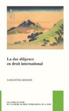 La Due Diligence En Droit International