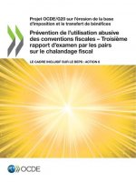 Projet Ocde/G20 Sur l'Erosion de la Base d'Imposition Et Le Transfert de Benefices Prevention de l'Utilisation Abusive Des Conventions Fiscales - Troi