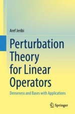 Perturbation Theory for Linear Operators