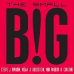 The Small Big Lib/E: Small Changes That Spark Big Influence